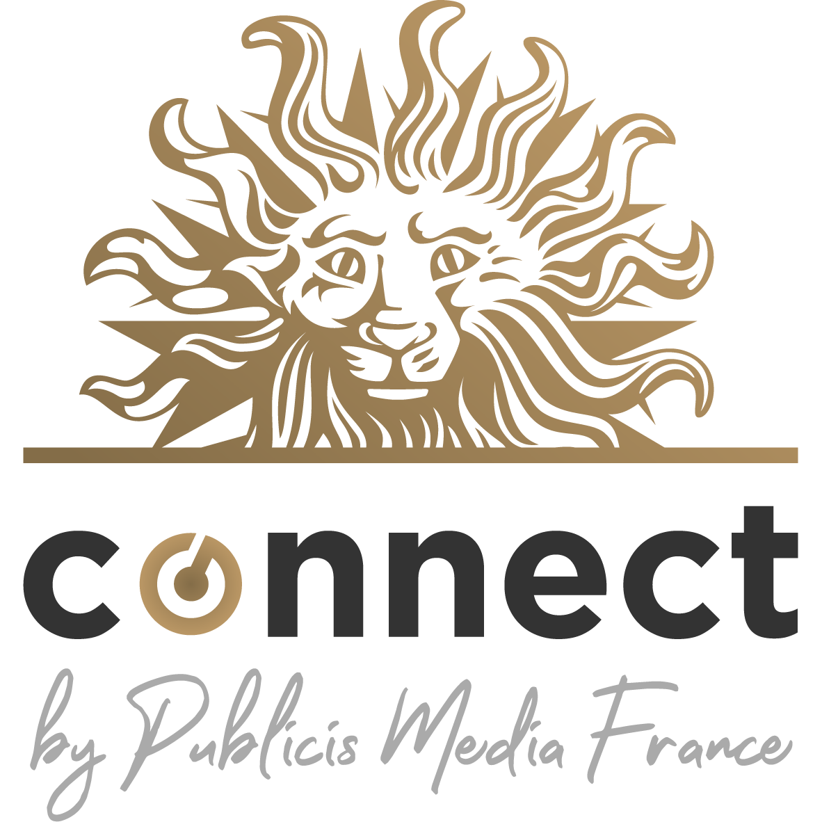 Publicis Media Connect